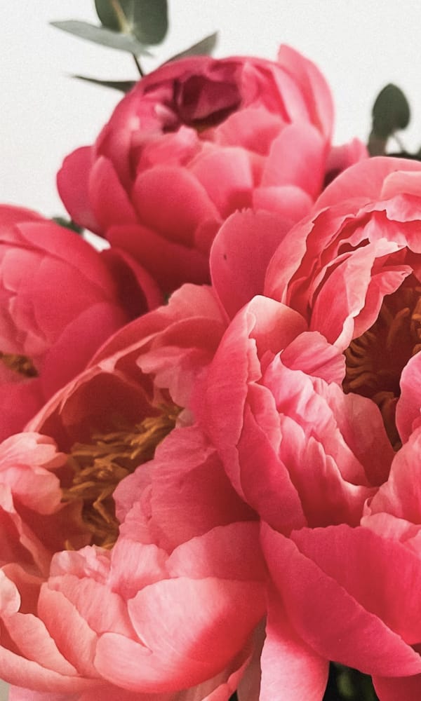 Oktoberfest UND GRETEL Blumen