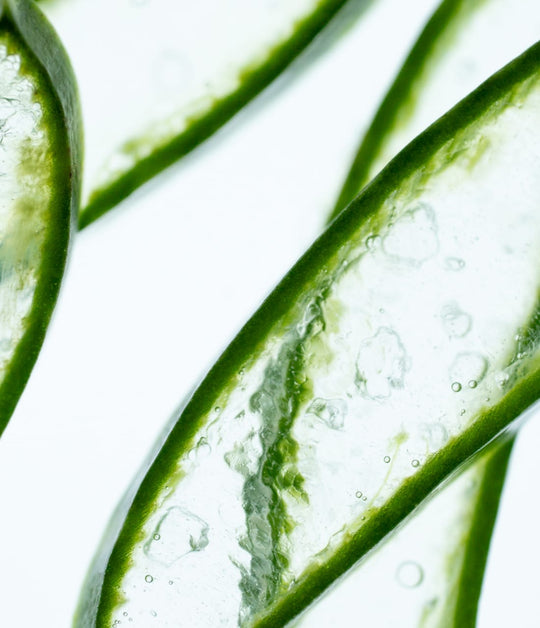 Moodbild Skincare Inci
