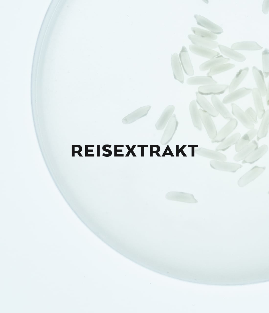 Reisextrakt Moodbild