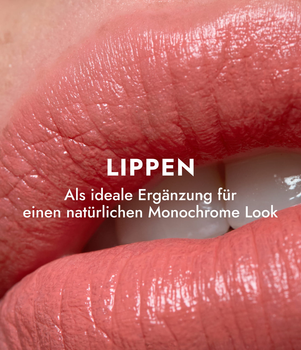 How to VARWE Cream Color Lippe