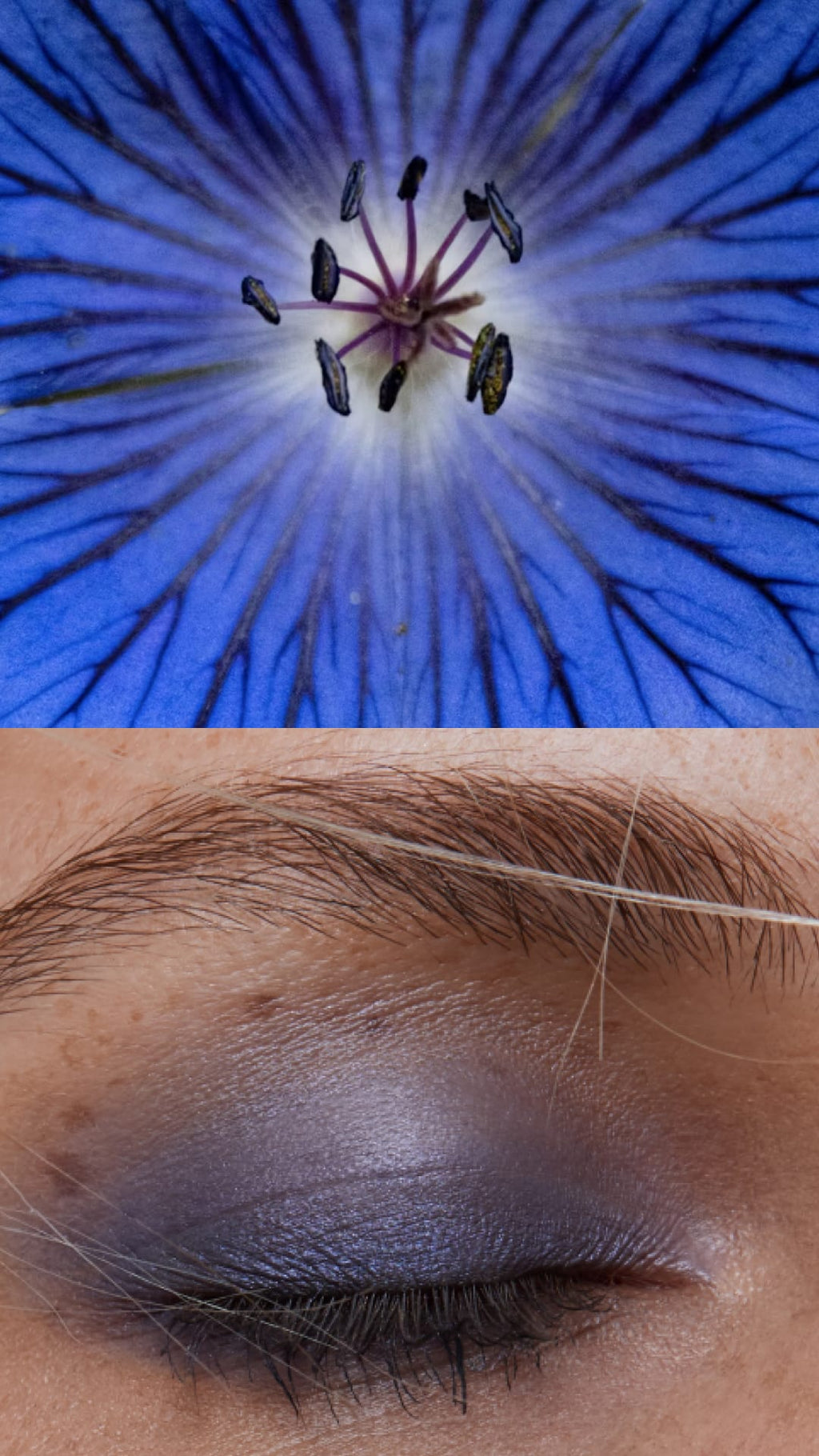 hero background image