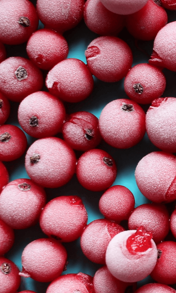 UND GRETEL Green Factory Outlet 2025 Herbst