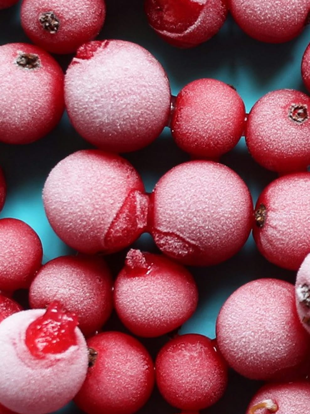 UND GRETEL Green Factory Outlet 2025 Herbst